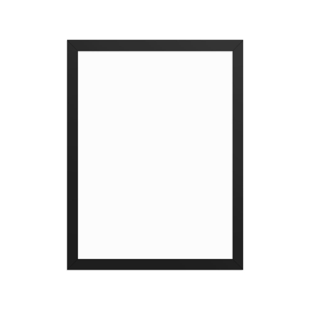 RO-FP-1216